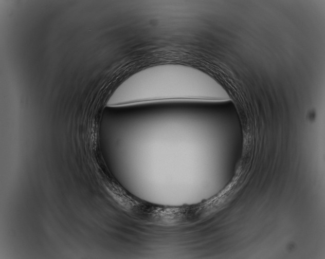 X0000100930186200806241147