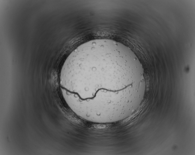 X0000100930187200806241147