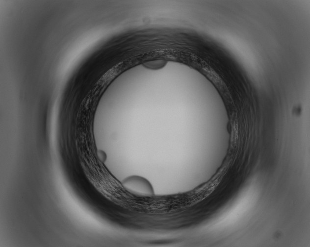 X0000100930191200806241147