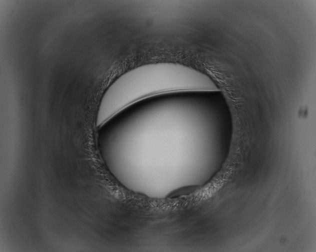 X0000100930192200806241147