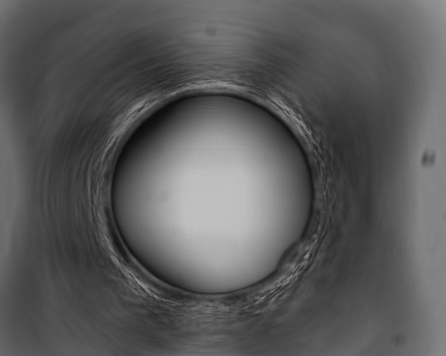 X0000100930193200806241147