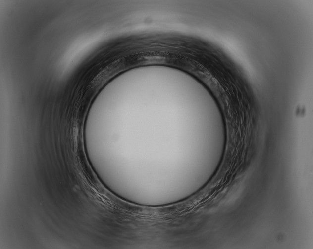 X0000100930194200806241147