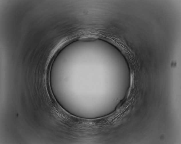 X0000100930195200806241147