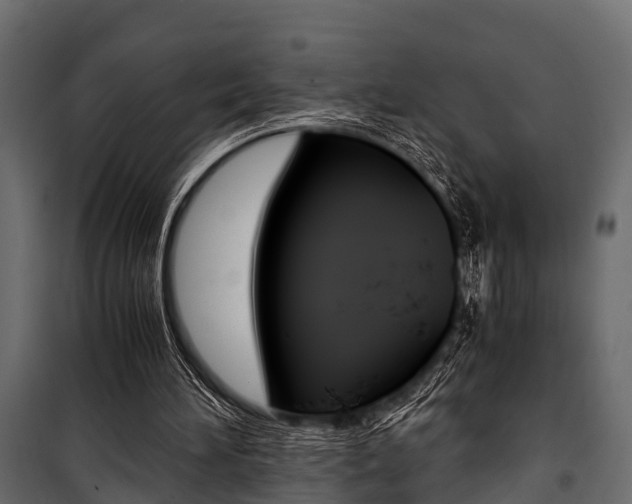 X0000100930196200806241147