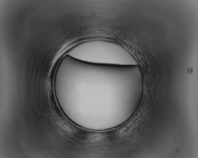 X0000100930198200806241147