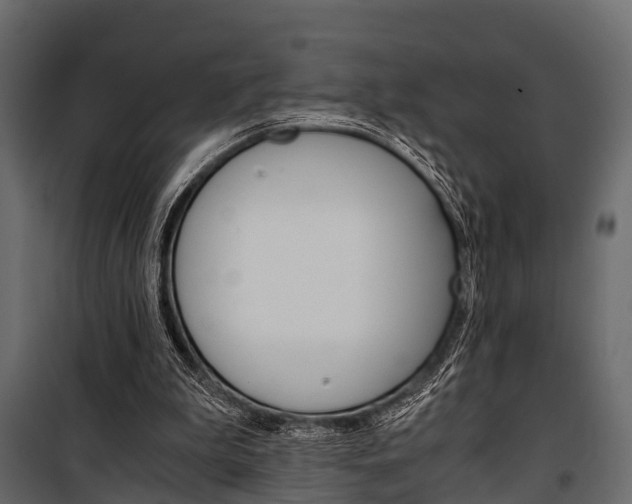 X0000100930199200806241147