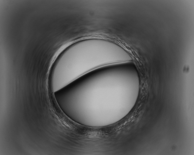 X0000100930200200806241147