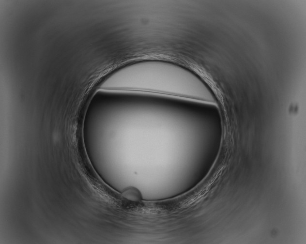 X0000100930201200806241147