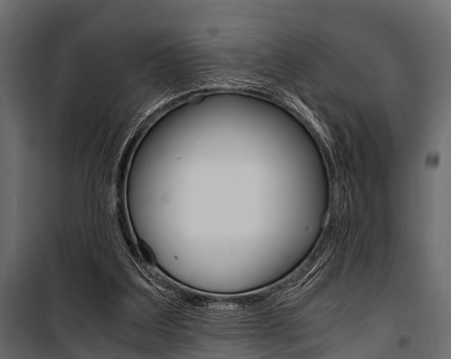 X0000100930203200806241146