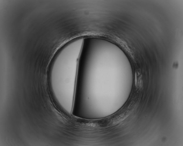 X0000100930204200806241146