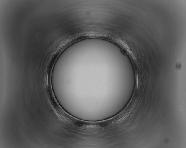 X0000100930205200806241146