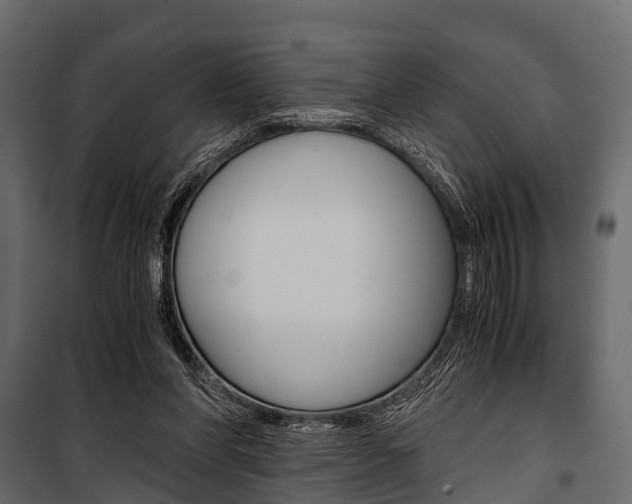 X0000100930206200806241146