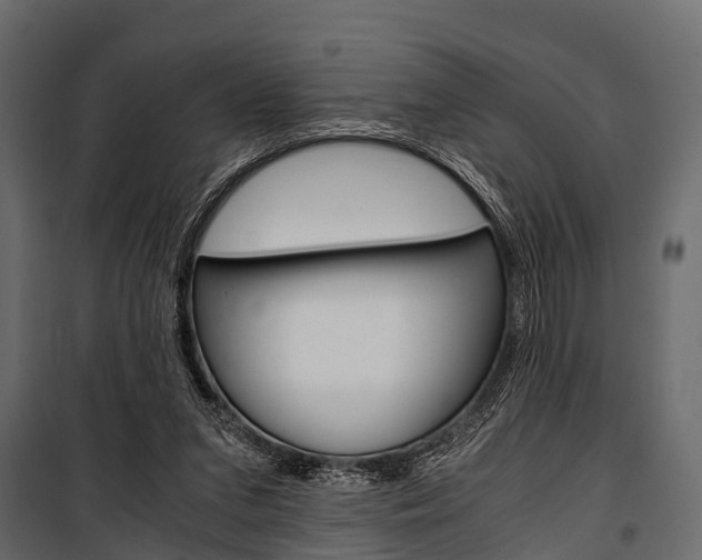 X0000100930207200806241146