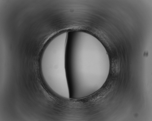 X0000100930208200806241146