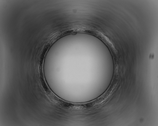 X0000100930209200806241146