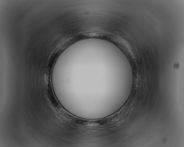 X0000100930210200806241146