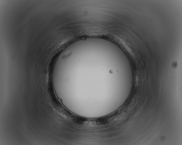 X0000100930211200806241146