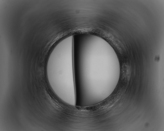 X0000100930212200806241146