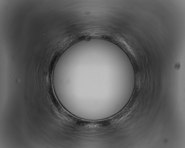 X0000100930213200806241146