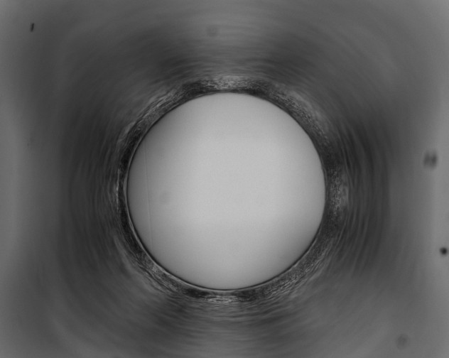 X0000100930214200806241146