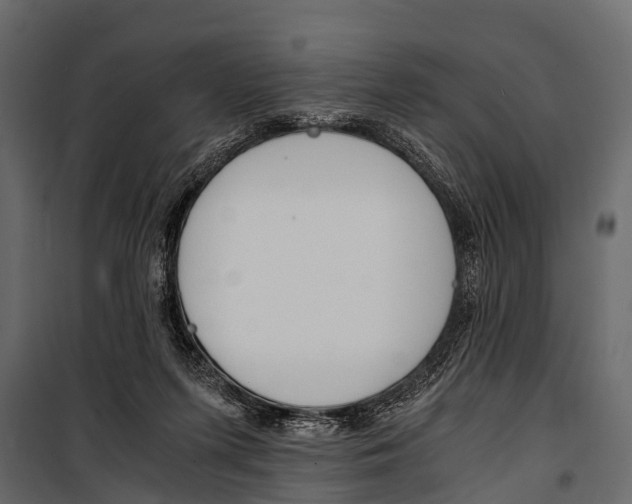 X0000100930215200806241146