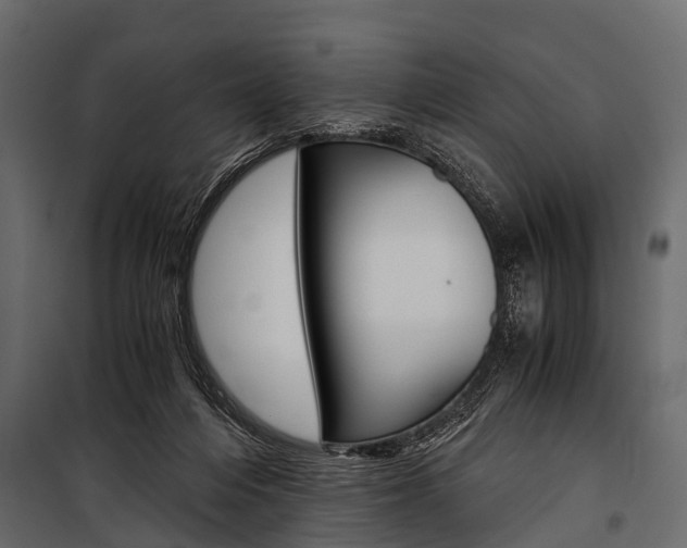 X0000100930216200806241146