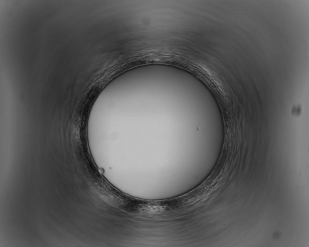 X0000100930217200806241146