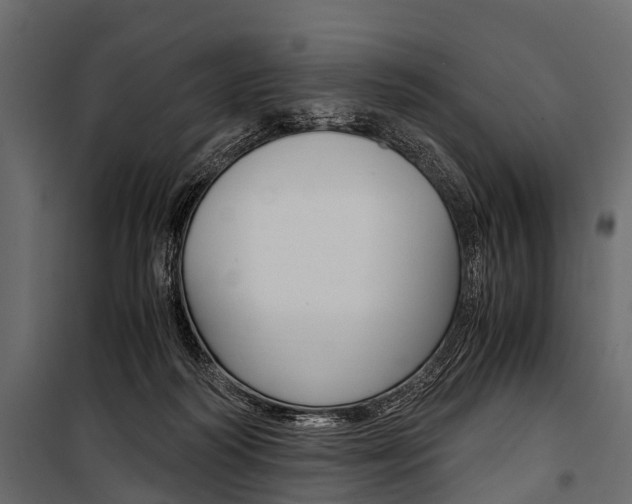 X0000100930218200806241146