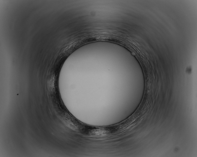 X0000100930219200806241146