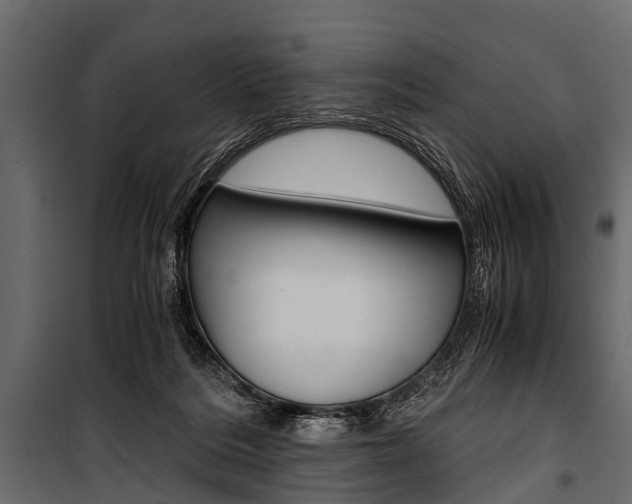 X0000100930220200806241146