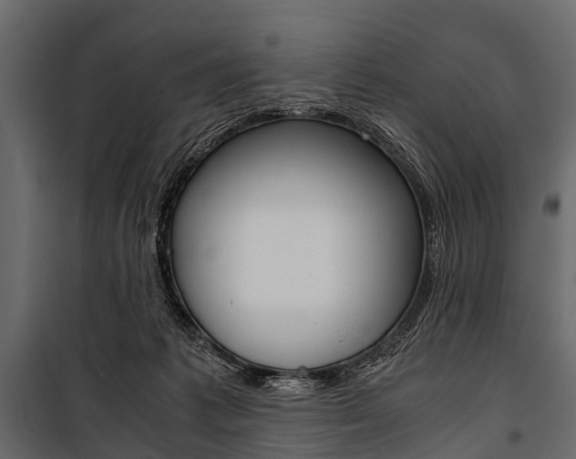 X0000100930221200806241146