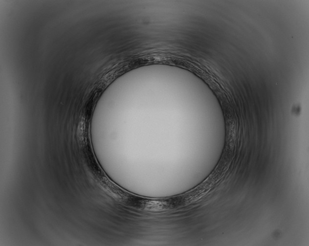 X0000100930222200806241146