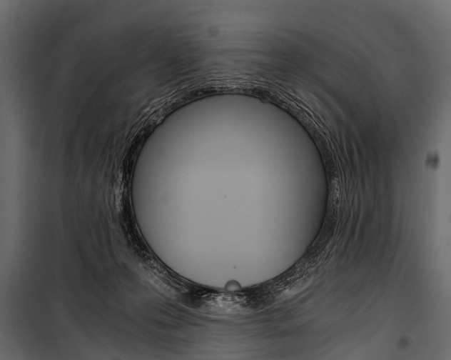 X0000100930223200806241146