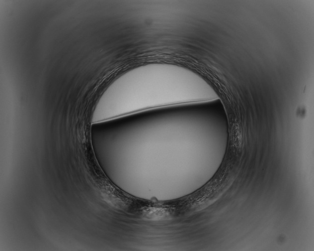 X0000100930224200806241146