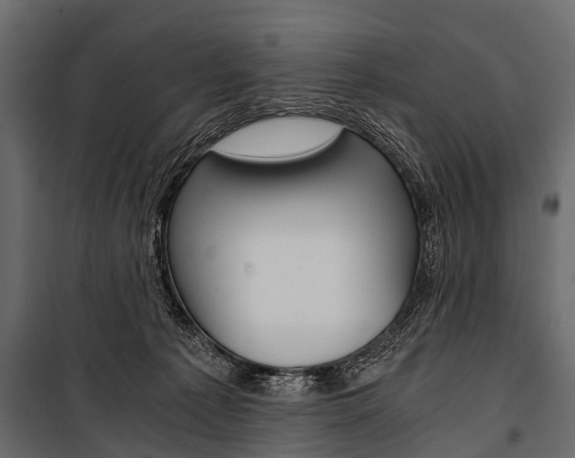 X0000100930225200806241146