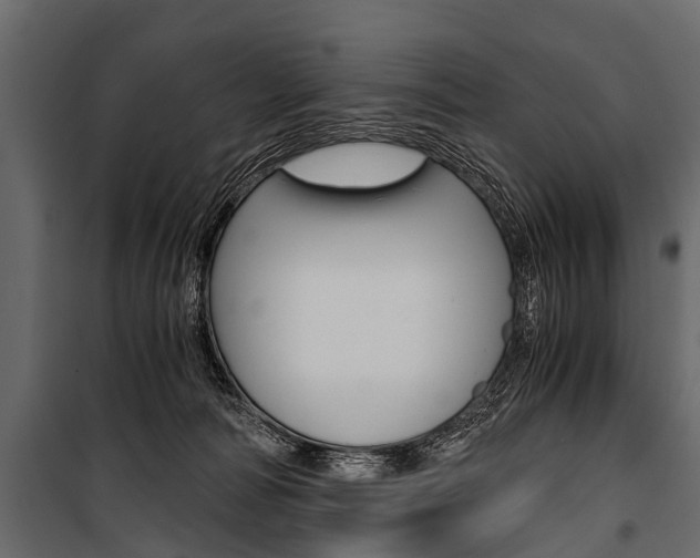 X0000100930226200806241146