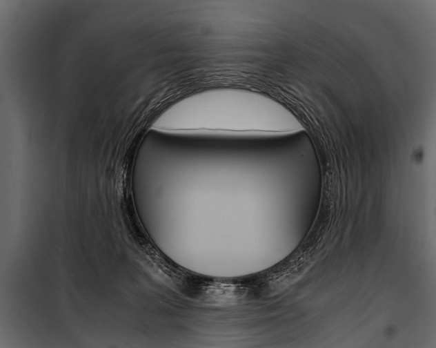 X0000100930227200806241146