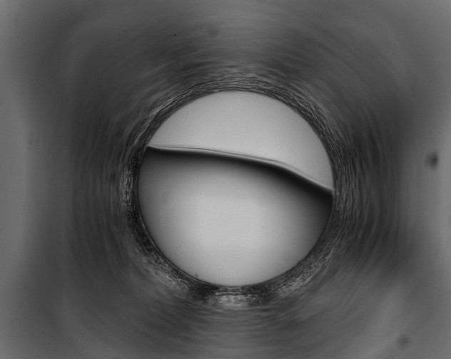 X0000100930228200806241146