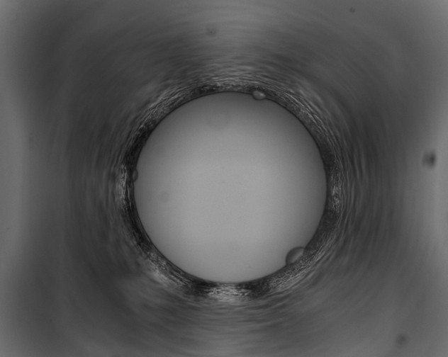 X0000100930231200806241146