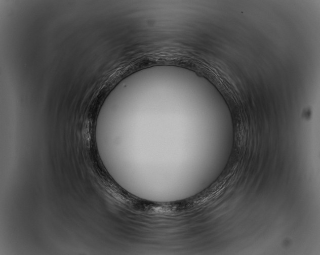 X0000100930232200806241146