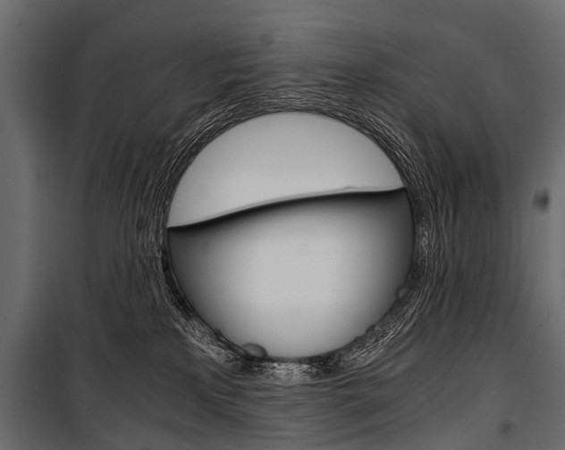 X0000100930233200806241146