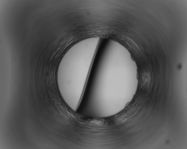 X0000100930236200806241146