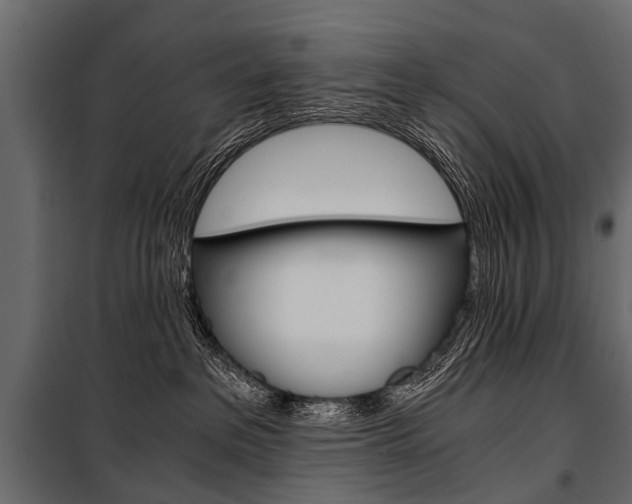 X0000100930237200806241146