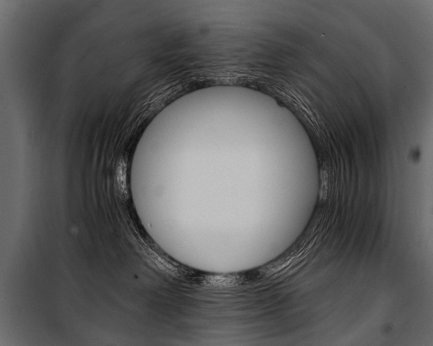 X0000100930238200806241146