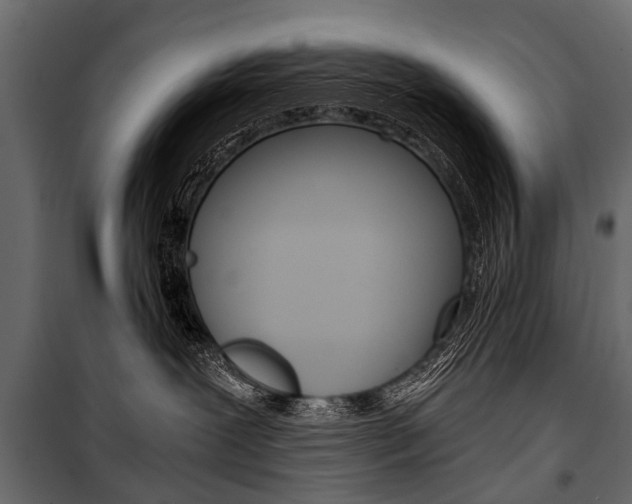 X0000100930239200806241146