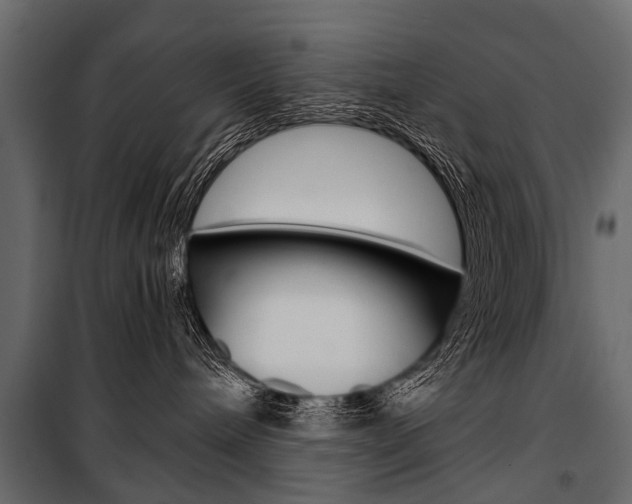 X0000100930240200806241146