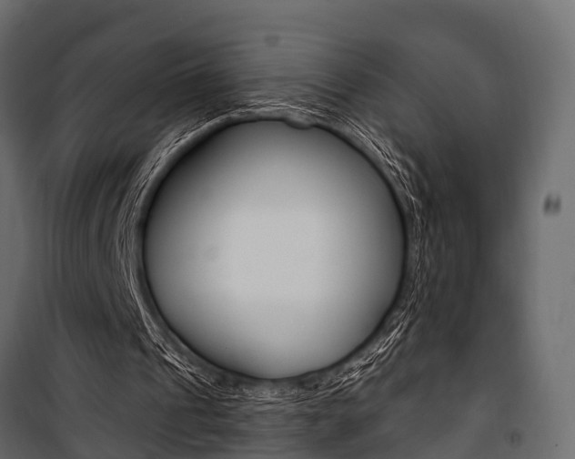 X0000100930241200806241145