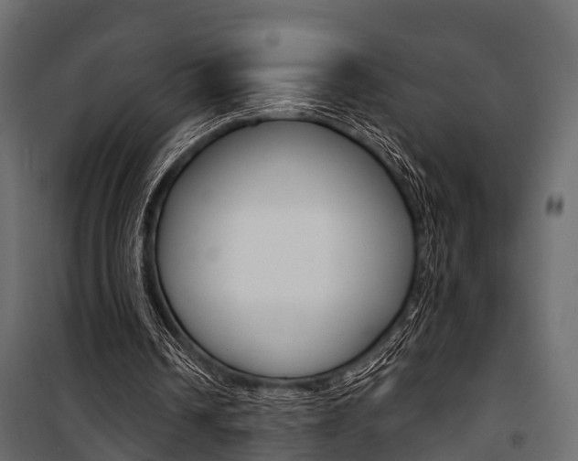 X0000100930242200806241145