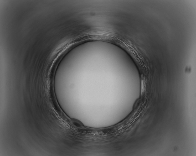 X0000100930243200806241145