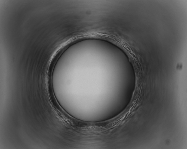 X0000100930244200806241145